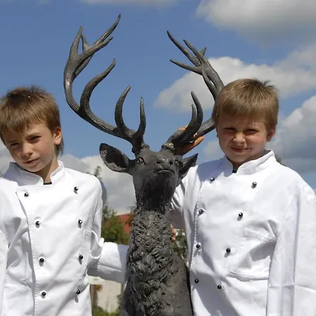 招待所 盖斯特豪斯兹姆赫尔斯恩酒店 灵斯海姆