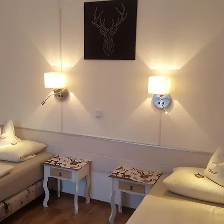 盖斯特豪斯兹姆赫尔斯恩酒店 3* 灵斯海姆