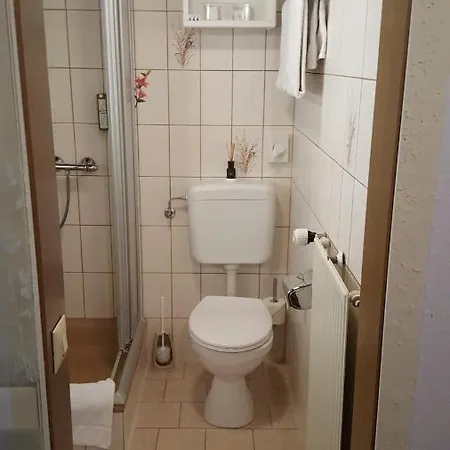 盖斯特豪斯兹姆赫尔斯恩酒店 招待所 灵斯海姆