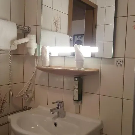 盖斯特豪斯兹姆赫尔斯恩酒店 灵斯海姆