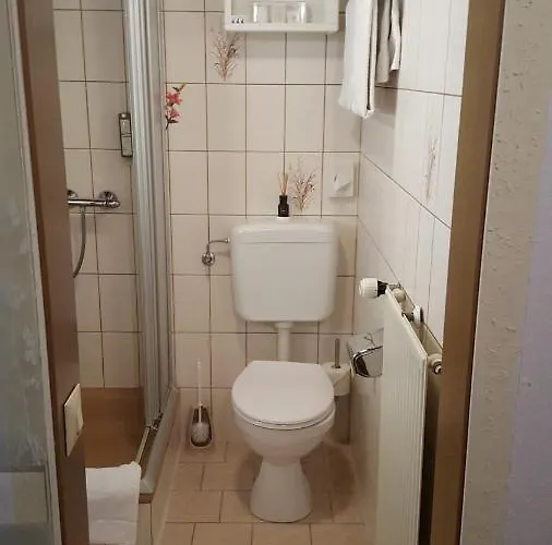 Zum Hirschen ゲストハウス リングスハイム